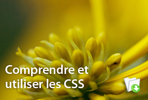 Galerie::images/FR_CSS.png